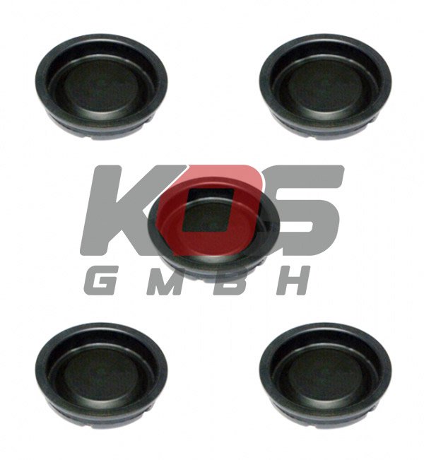 Caliper Plug Set KNORR TYPE - 10109964