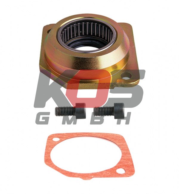 Caliper Shaft Bearing MERITOR TYPE - 10110189