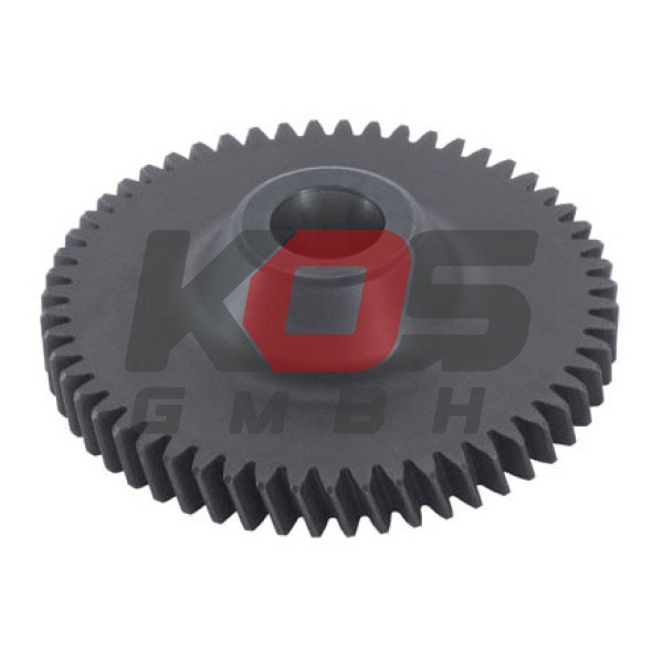 Gear, Stearing Oil Pump  - 10111600