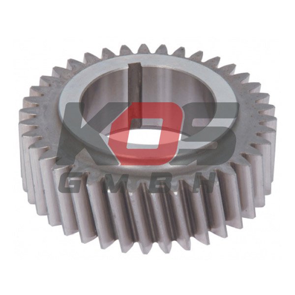 Gear, Stearing Oil Pump  - 10112039