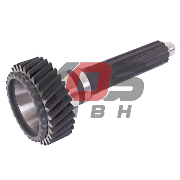 Input Shaft, Gearbox 31 diş - 10112164