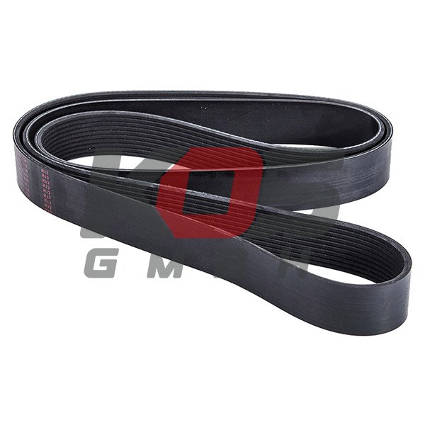 V-belt / Ribbed  - 10114378