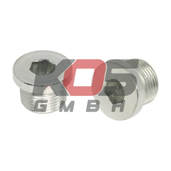 Screw Plug, Oil Pan  - 10102555