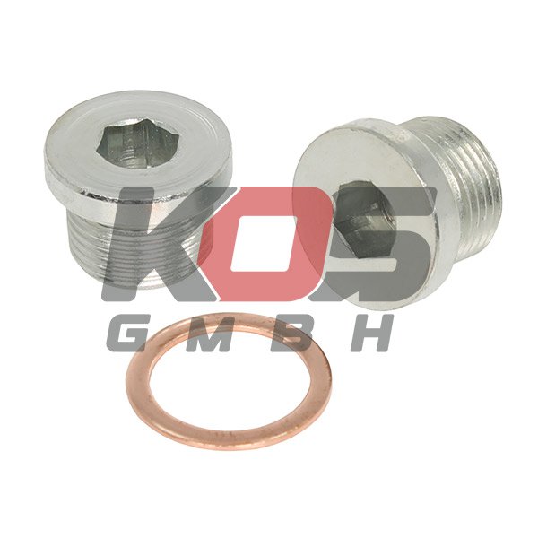 Screw Plug, Oil Pan  - 10102556