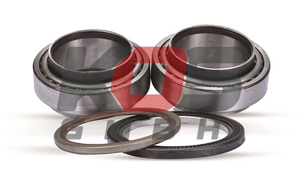 Wheel Hub Bearings  - 10114587