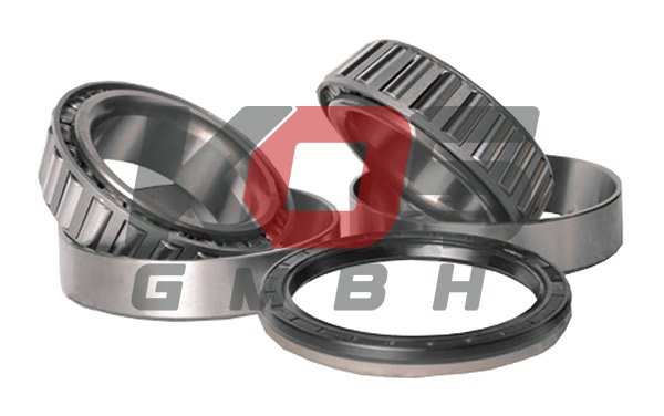 Wheel Hub Bearings  - 10114601