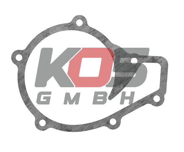 Gasket Set, Water Pump Used For : 1197701 - 10107902