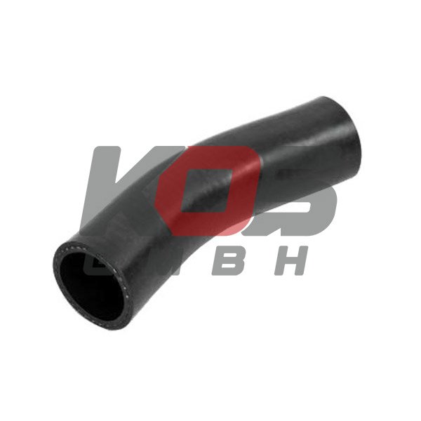 Hose, Expansion Tank  - 10106190