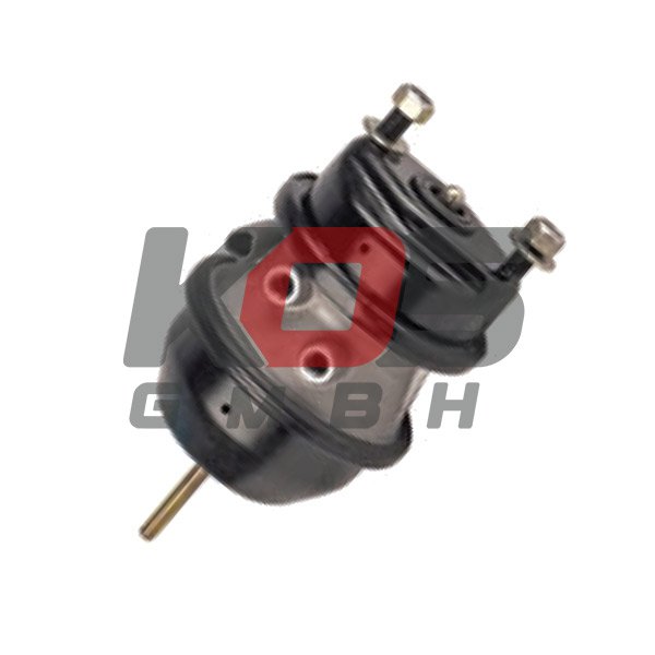 Spring Brake Chamber 20*24 - 10111282