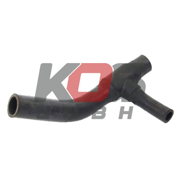 Hose, Expansion Tank  - 10106326